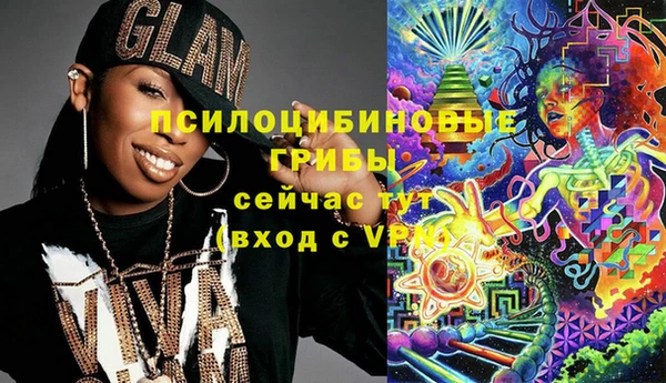 дмт Лагань