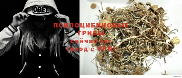 дмт Лагань