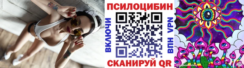 сайты даркнета формула  Медвежьегорск  Псилоцибиновые грибы GOLDEN TEACHER  кракен ССЫЛКА 